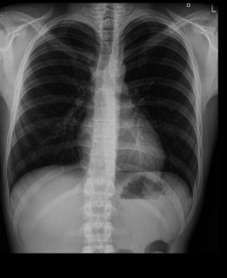 PMC11959201 – FIG2