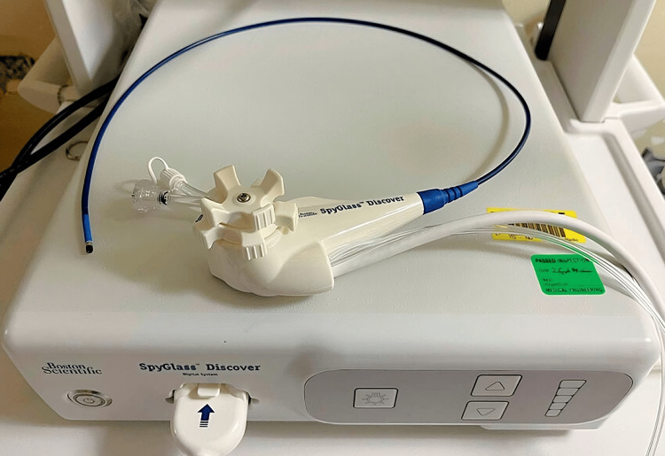 PMC11986274 – FIG2