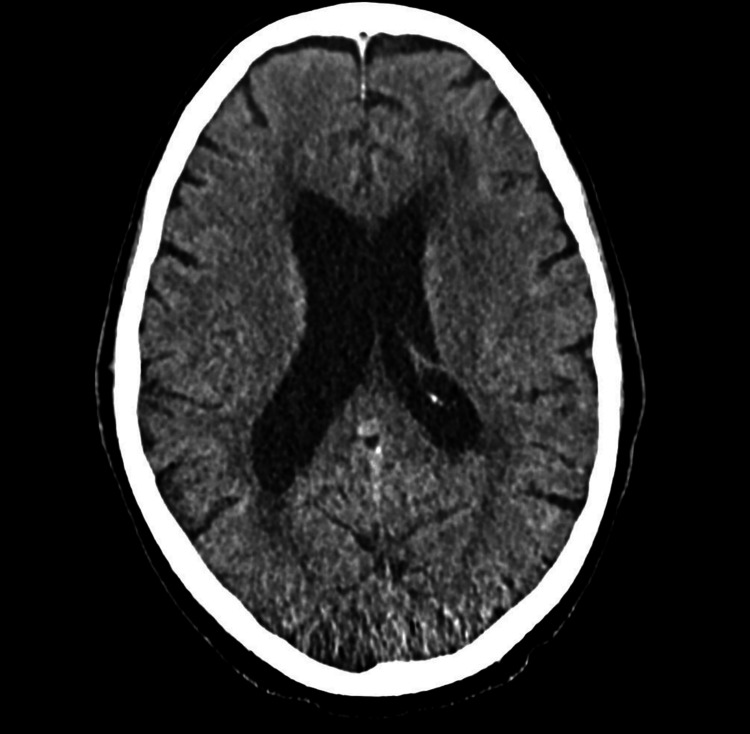 PMC11991439 – FIG1