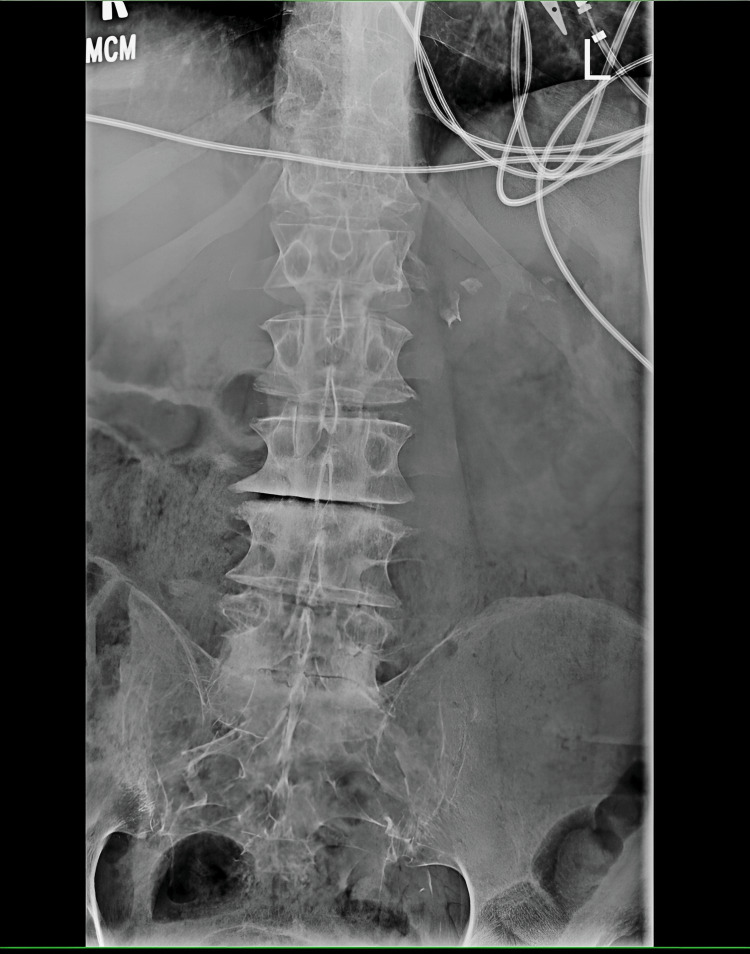 PMC11991439 – FIG2
