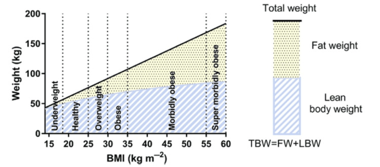 PMC12017884 – FIG1