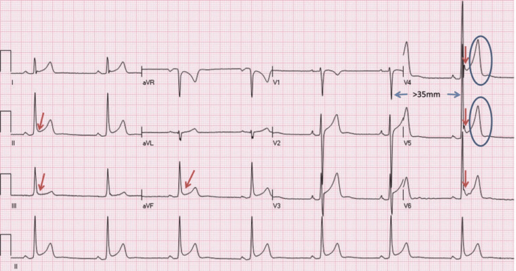 PMC12017884 – FIG2