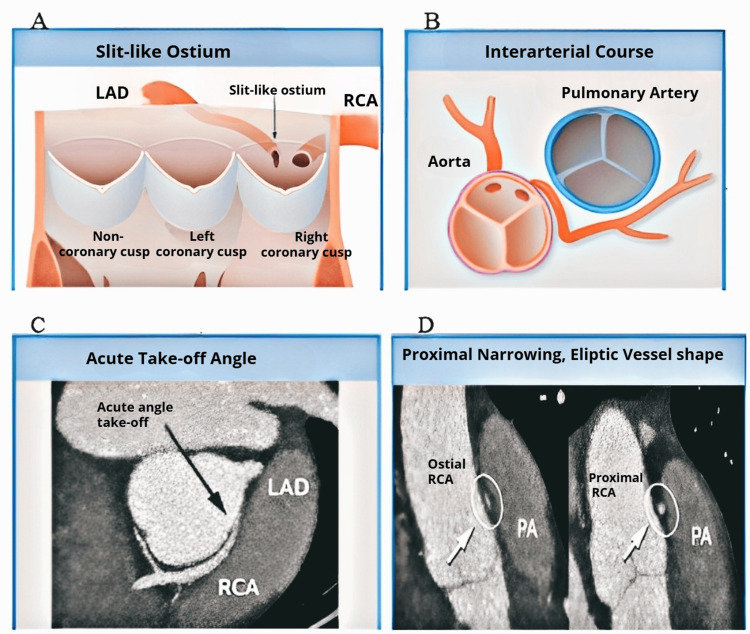 PMC12017884 – FIG4