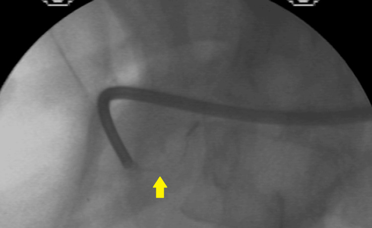 PMC12082747 – FIG7