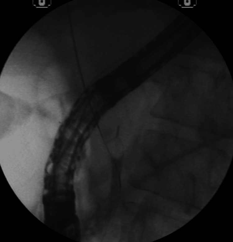 PMC12082747 – FIG8