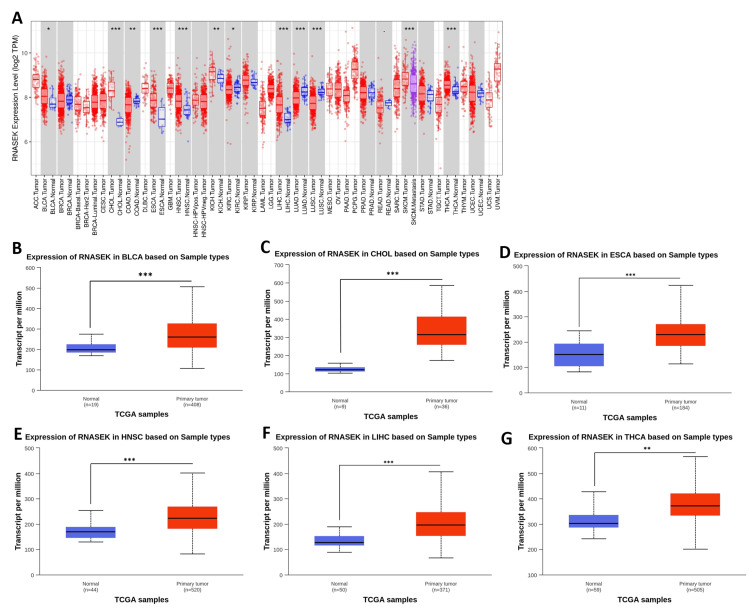 PMC12180778 – FIG1