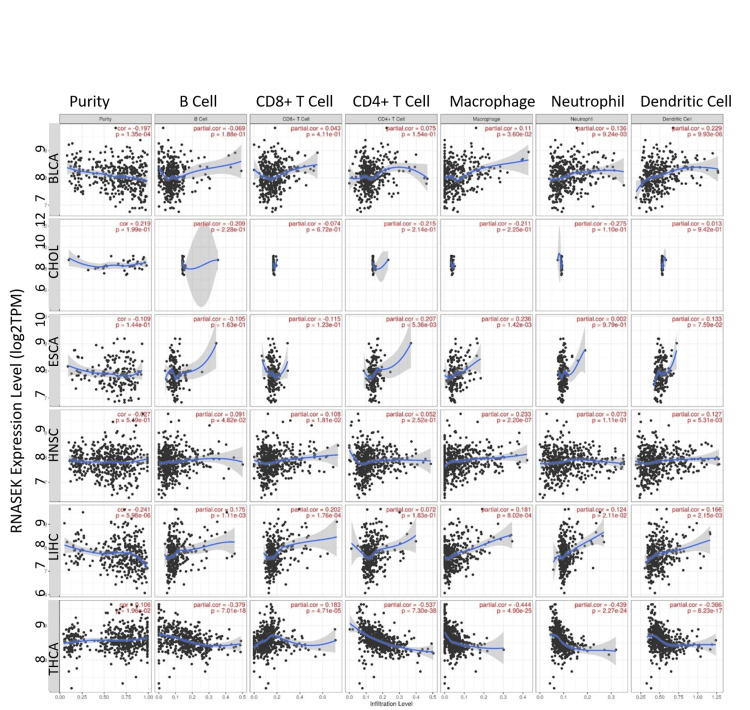 PMC12180778 – FIG4