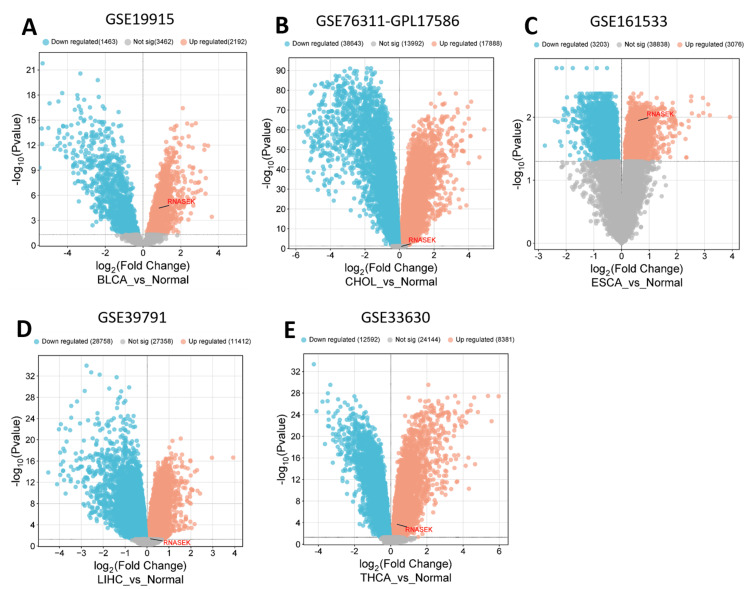 PMC12180778 – FIG7