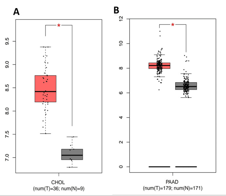 PMC12180778 – FIG8