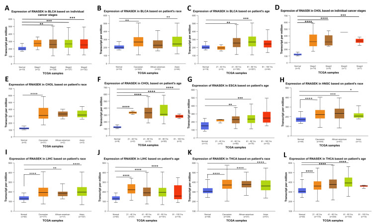 PMC12180778 – FIG10