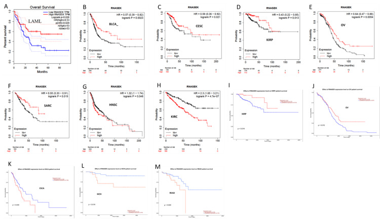 PMC12180778 – FIG11