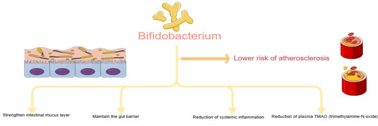PMC12176072 – FIG1