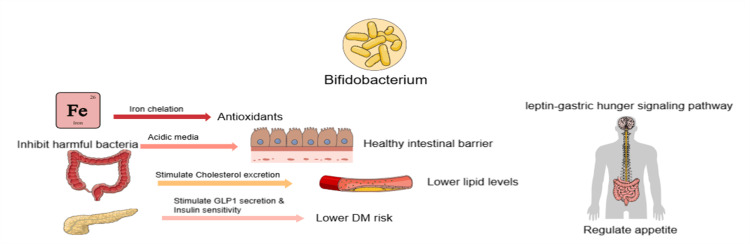 PMC12176072 – FIG3