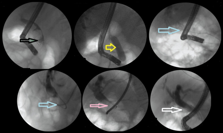 PMC12306517 – FIG5
