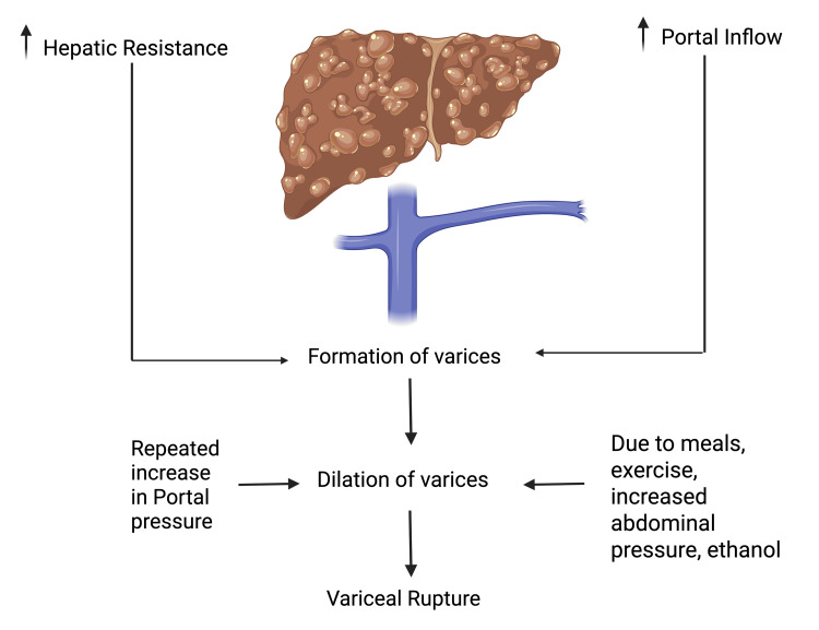 PMC12306649 – FIG2
