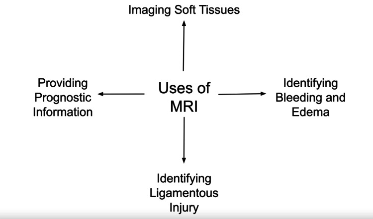 PMC12310408 – FIG1