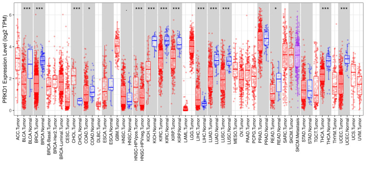 PMC12450483 – FIG1