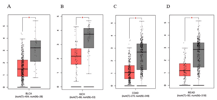 PMC12450483 – FIG2