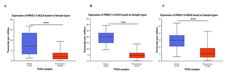 PMC12450483 – FIG3