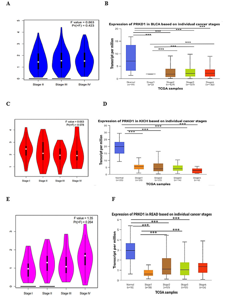 PMC12450483 – FIG5