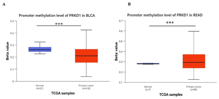 PMC12450483 – FIG9