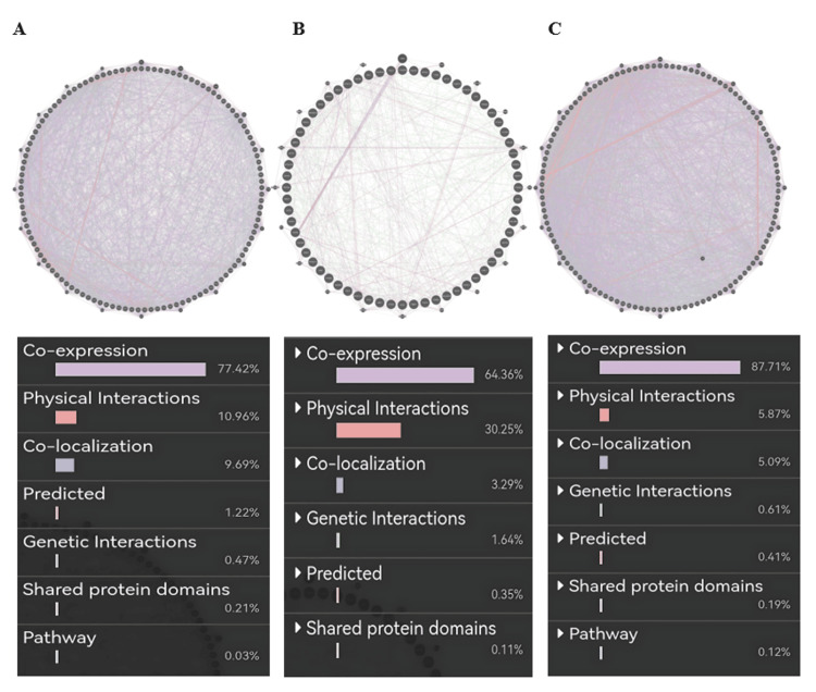 PMC12450483 – FIG13