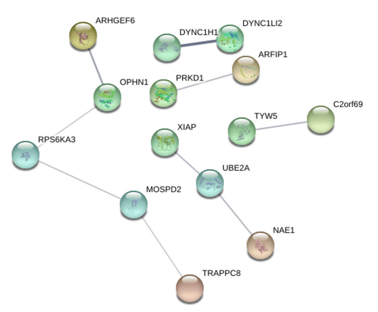 PMC12450483 – FIG15