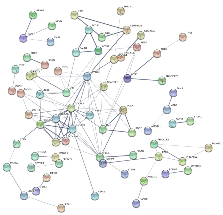 PMC12450483 – FIG16