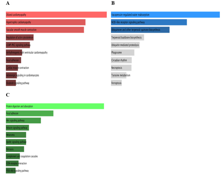PMC12450483 – FIG17