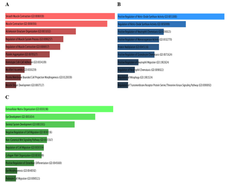 PMC12450483 – FIG18