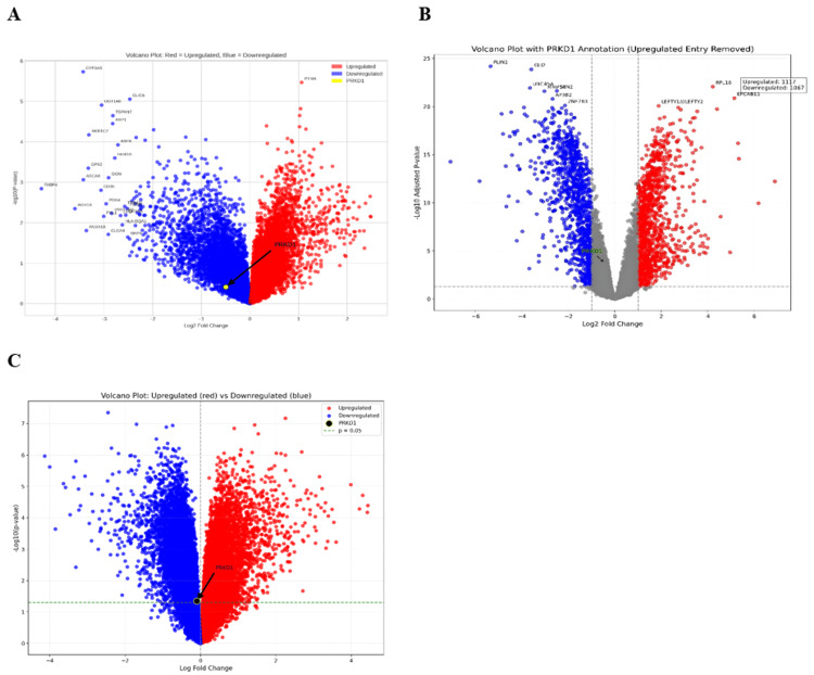 PMC12450483 – FIG19