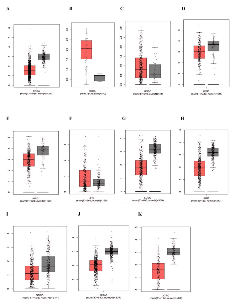 PMC12450483 – FIG20