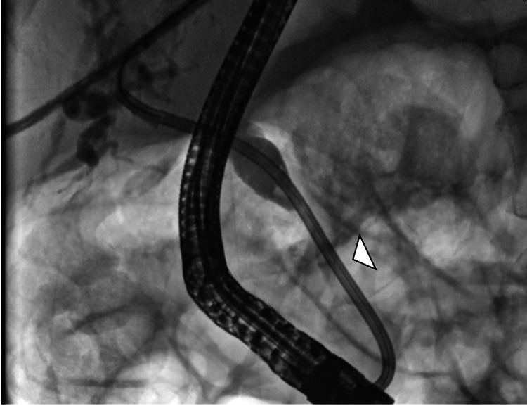 PMC12378366 – FIG5