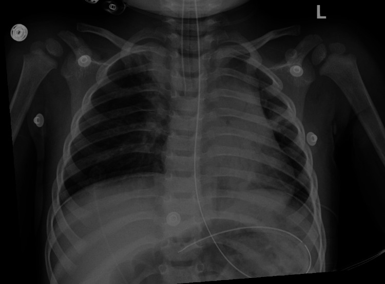 PMC12489957 – FIG1