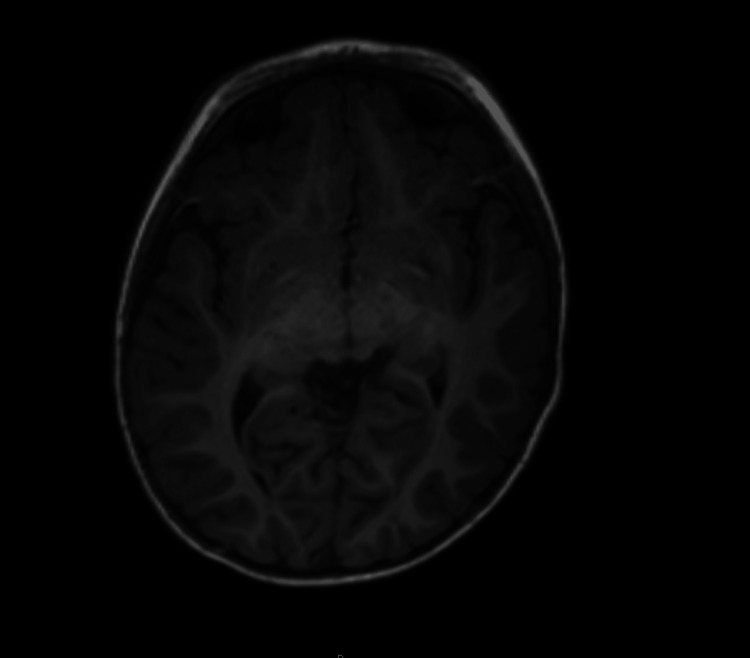 PMC12489957 – FIG2