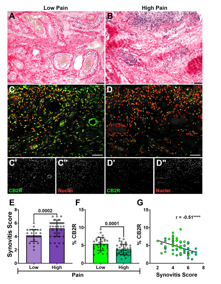 PMC12515457 – FIG1