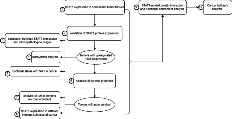 PMC12530666 – FIG1