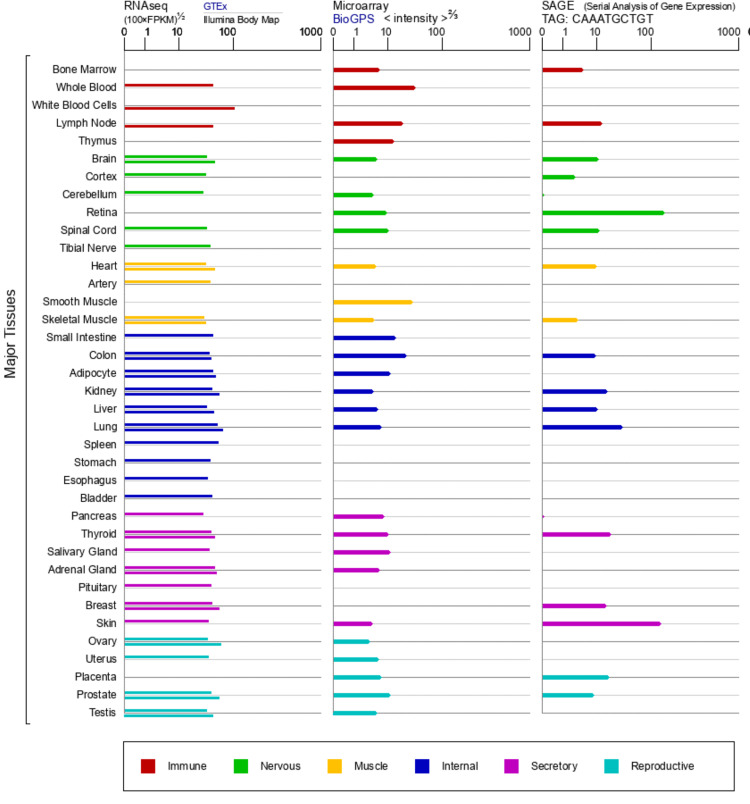 PMC12530666 – FIG2