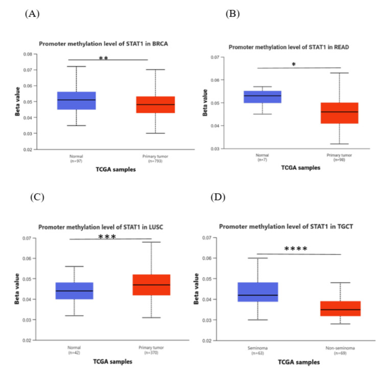 PMC12530666 – FIG6