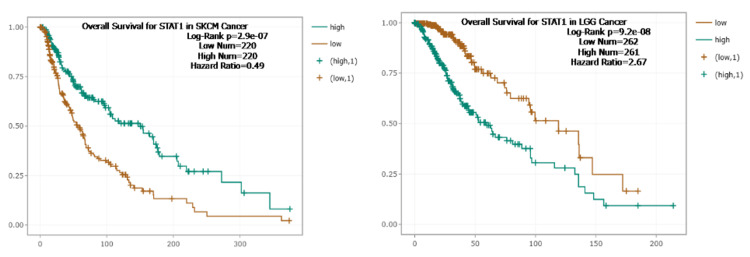 PMC12530666 – FIG10