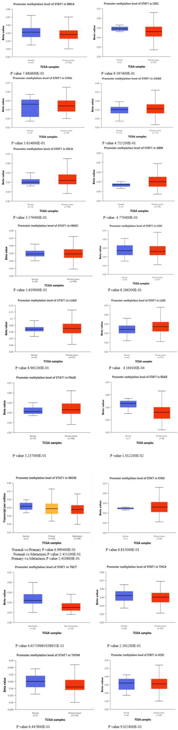 PMC12530666 – FIG17