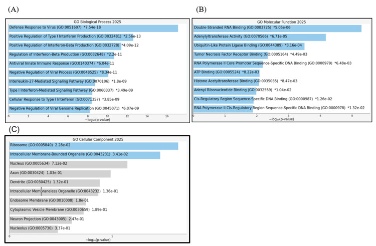 PMC12530666 – FIG20