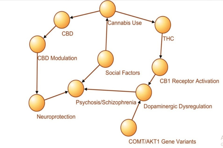 PMC12539040 – FIG1