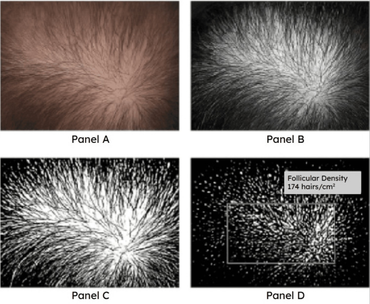 PMC12810425 – FIG2