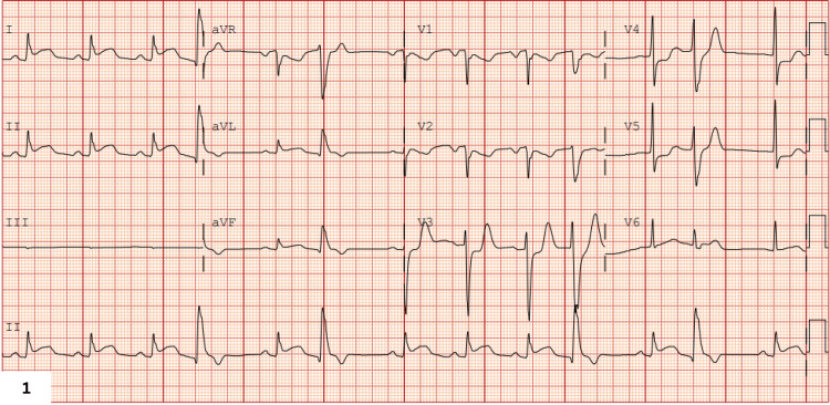 PMC12926683 – FIG1