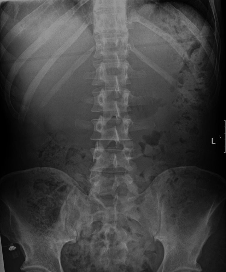 PMC12925600 – FIG1