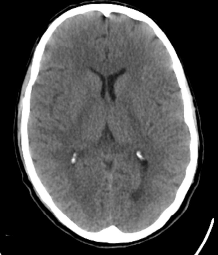 PMC12925600 – FIG4