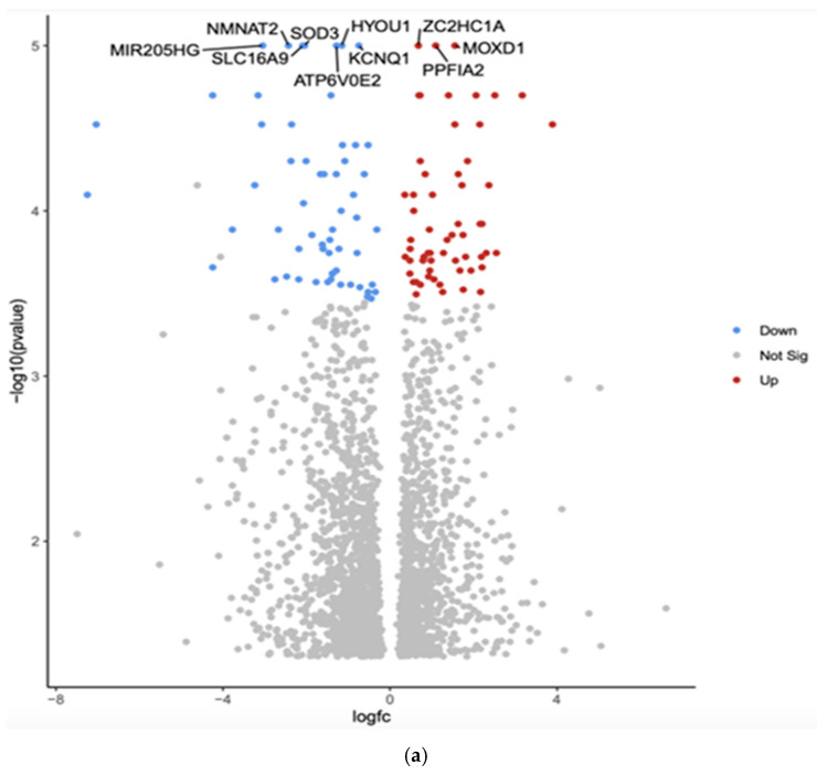 PMC12191872 – curroncol-32-00315-f001