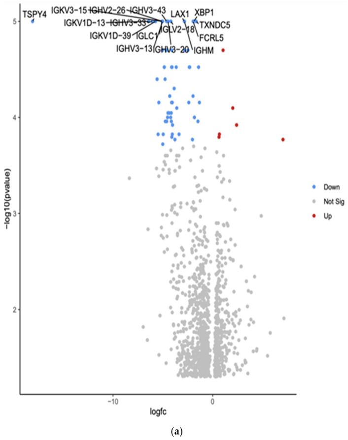 PMC12191872 – curroncol-32-00315-f004