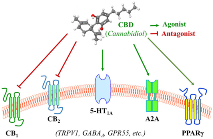 PMC12293229 – curroncol-32-00375-f002